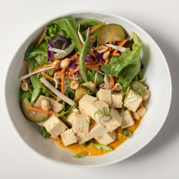 asian tofu salad with carrot ginger dressing
